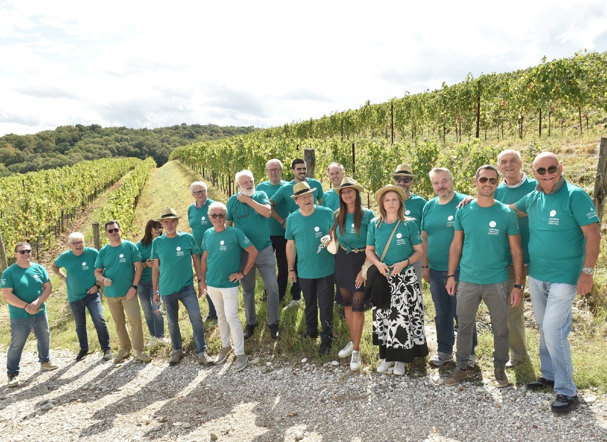 Vendemmia turistica in Friuli Venezia Giulia, le cantine aperte tra settembre e ottobre