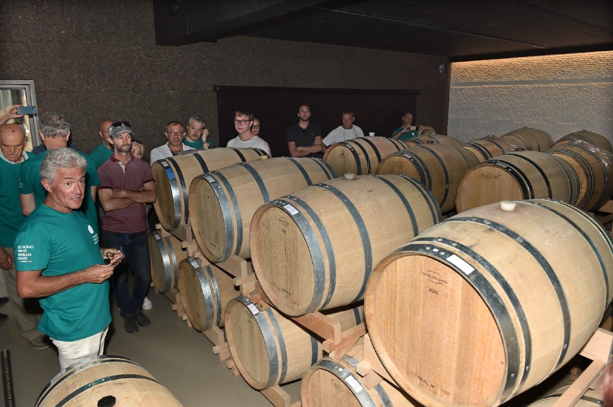 Vendemmia turistica in Friuli Venezia Giulia, le cantine aperte tra settembre e ottobre