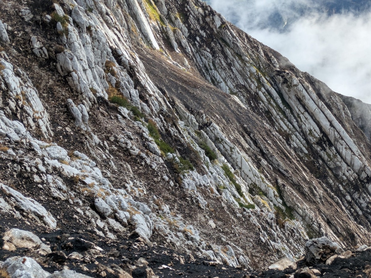 Monte Amariana, sentieri chiusi dopo l’incendio: CAI Tolmezzo segnala percorsi pericolosi