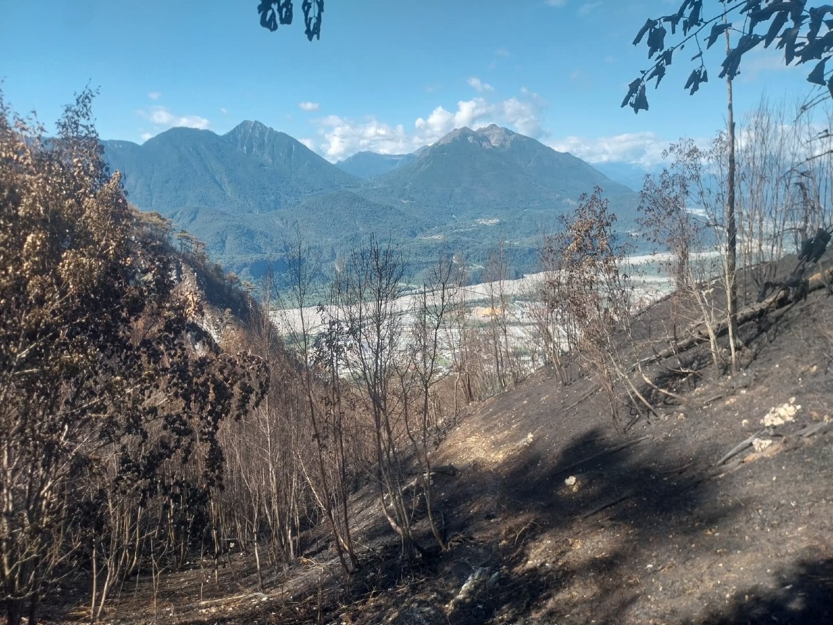 Monte Amariana, sentieri chiusi dopo l’incendio: CAI Tolmezzo segnala percorsi pericolosi