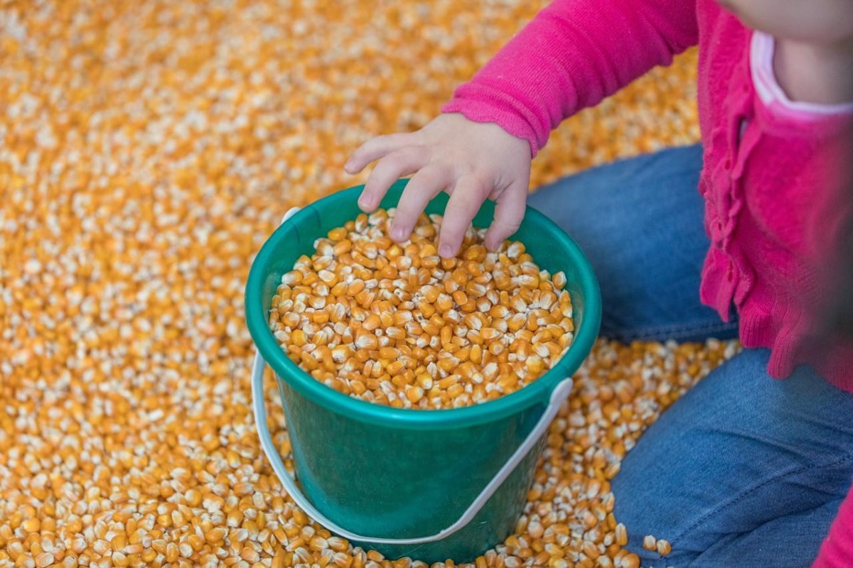 Friuli Doc 2026, a Udine torna il Villaggio dei bambini con giochi e laboratori