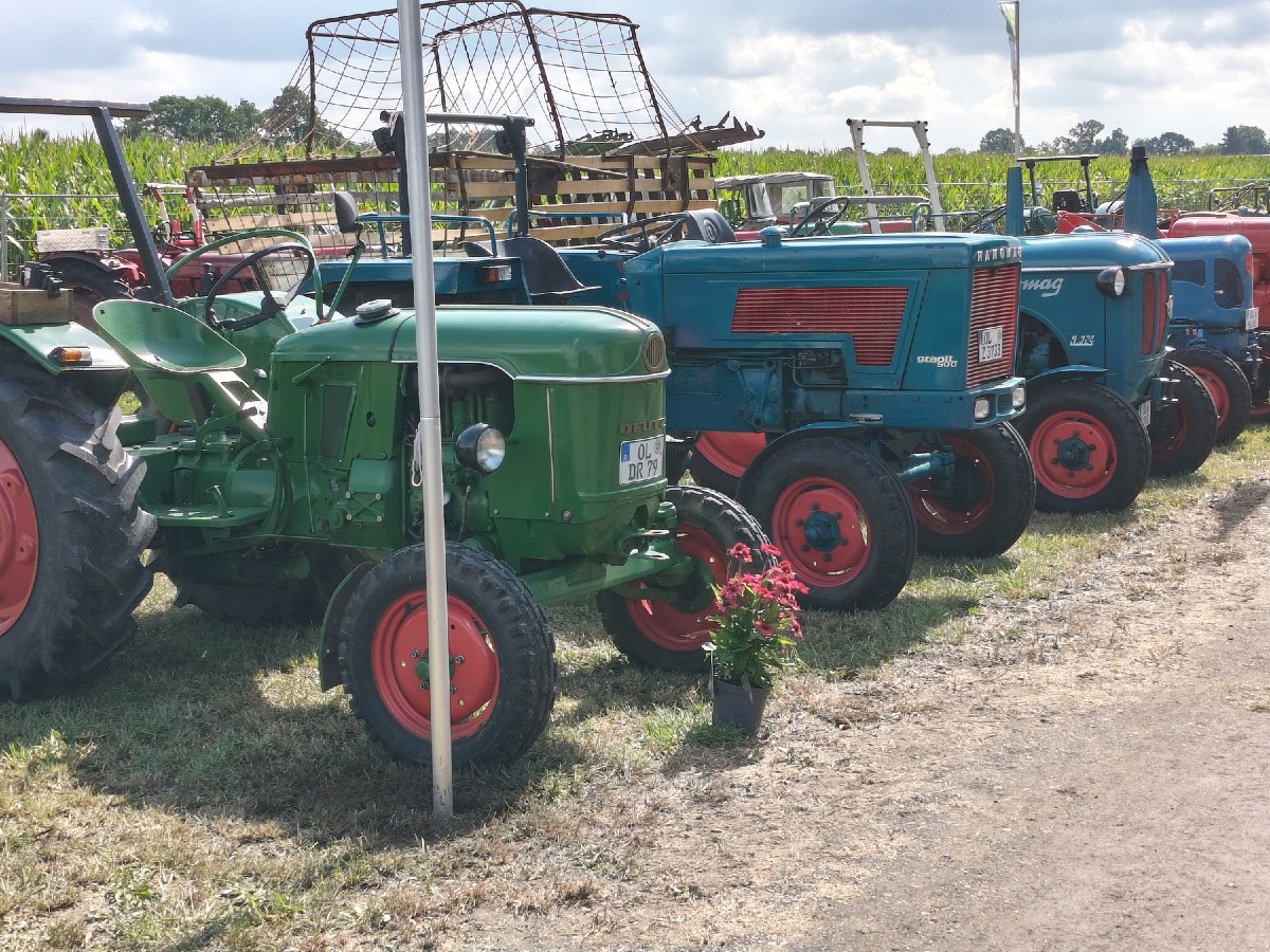 Fiume Veneto rafforza il gemellaggio con Hude: scambi scolastici e vetrina per Agriflumen