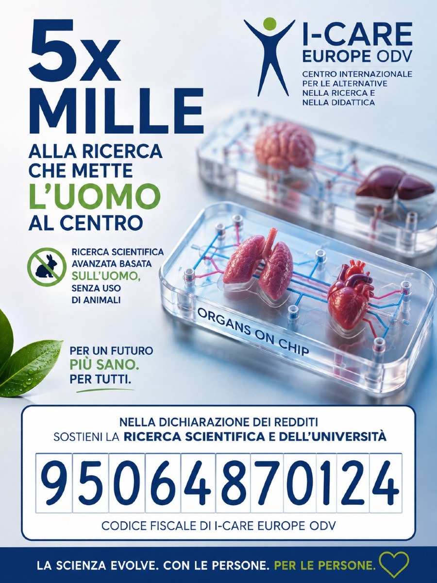 Organi su chip, come funzionano i mini-organi umani usati nei test sui farmaci