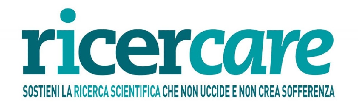 Organi su chip, come funzionano i mini-organi umani usati nei test sui farmaci