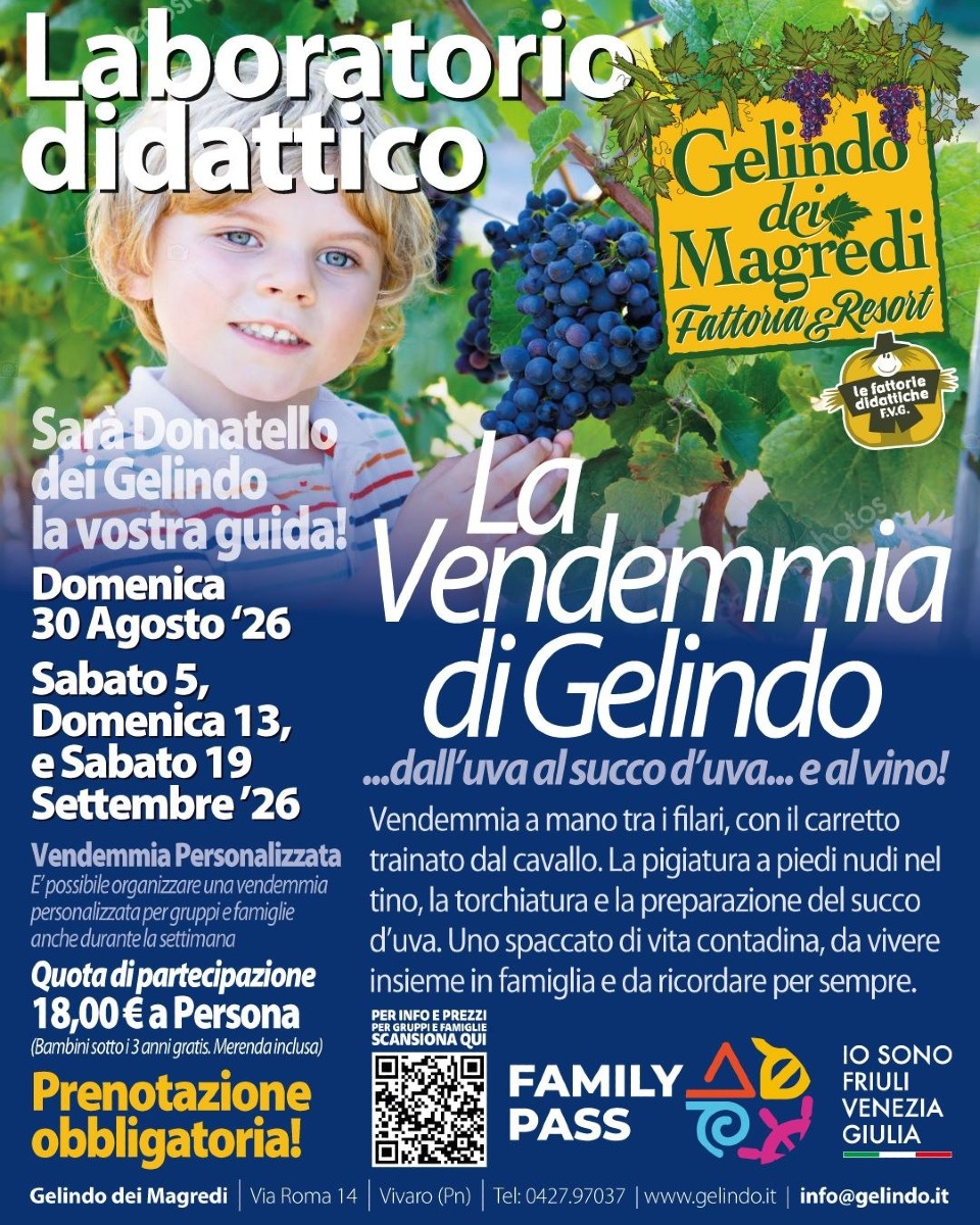 Vendemmia come una volta a Gelindo dei Magredi: 4 date tra agosto e settembre