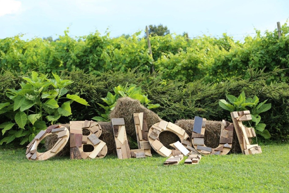 Boom Fest a San Biagio di Callalta: musica live, book swap e vintage il 28 agosto