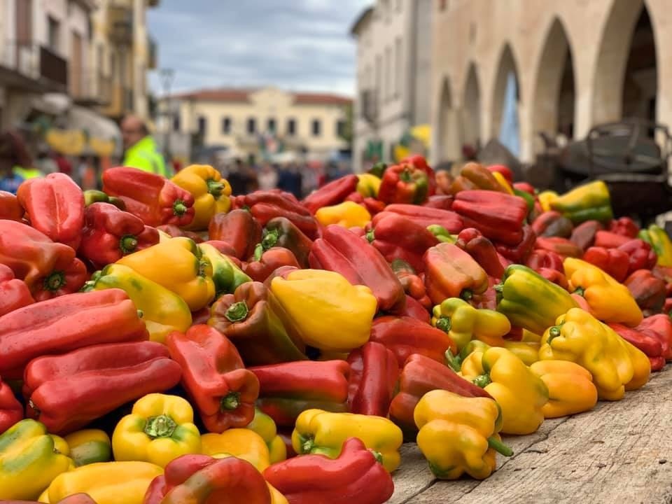 Zero Branco, torna la Sagra del Peperone: 59ª edizione dal 28 agosto al 6 settembre 2026