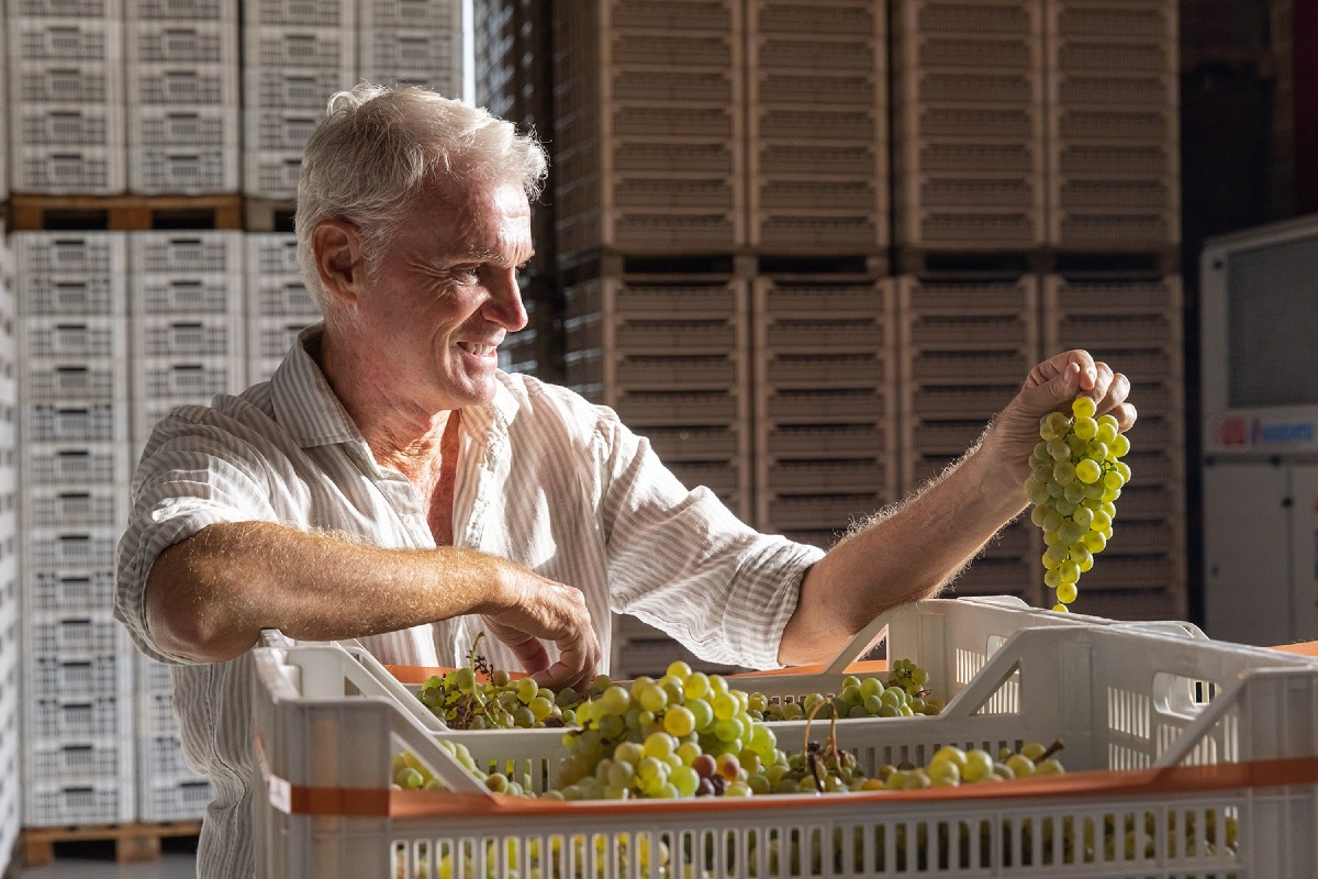 Tenuta Belvedere entra nella Cantina Produttori Fregona: è il primo nuovo socio