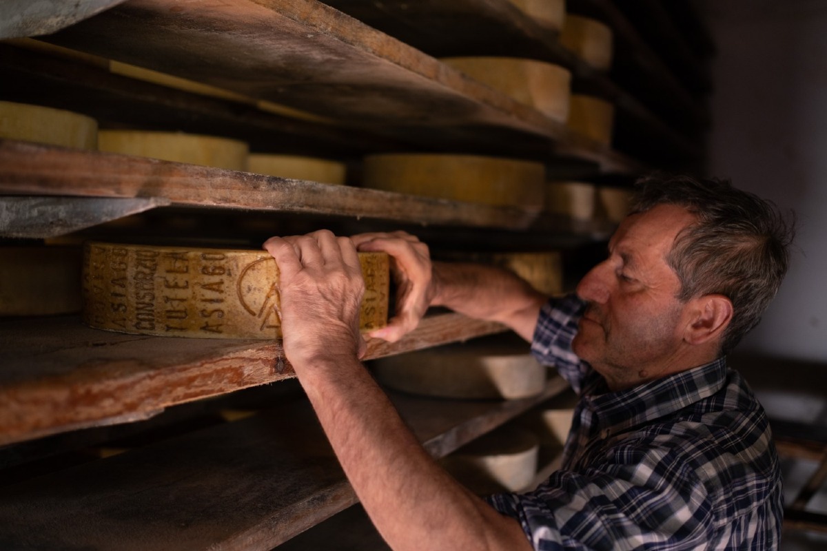 Asiago DOP Prodotto della Montagna, 20 anni e produzione in crescita del 7,5% nel 2026