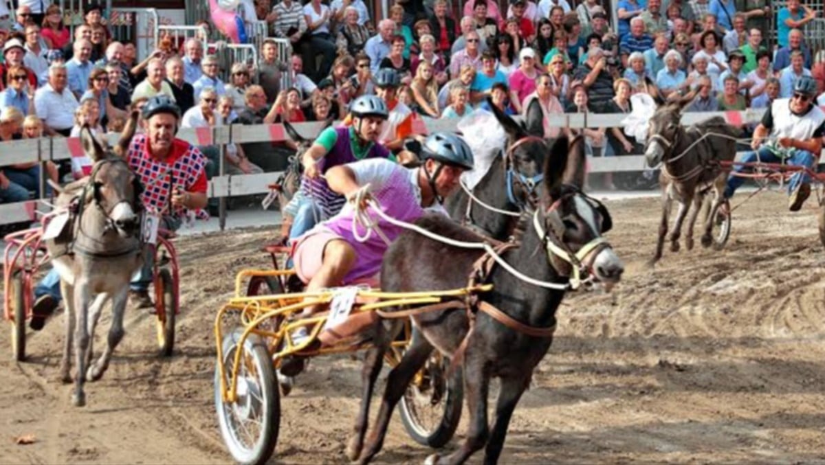 Fagagna, la festa di settembre finisce al centro delle proteste animaliste - 