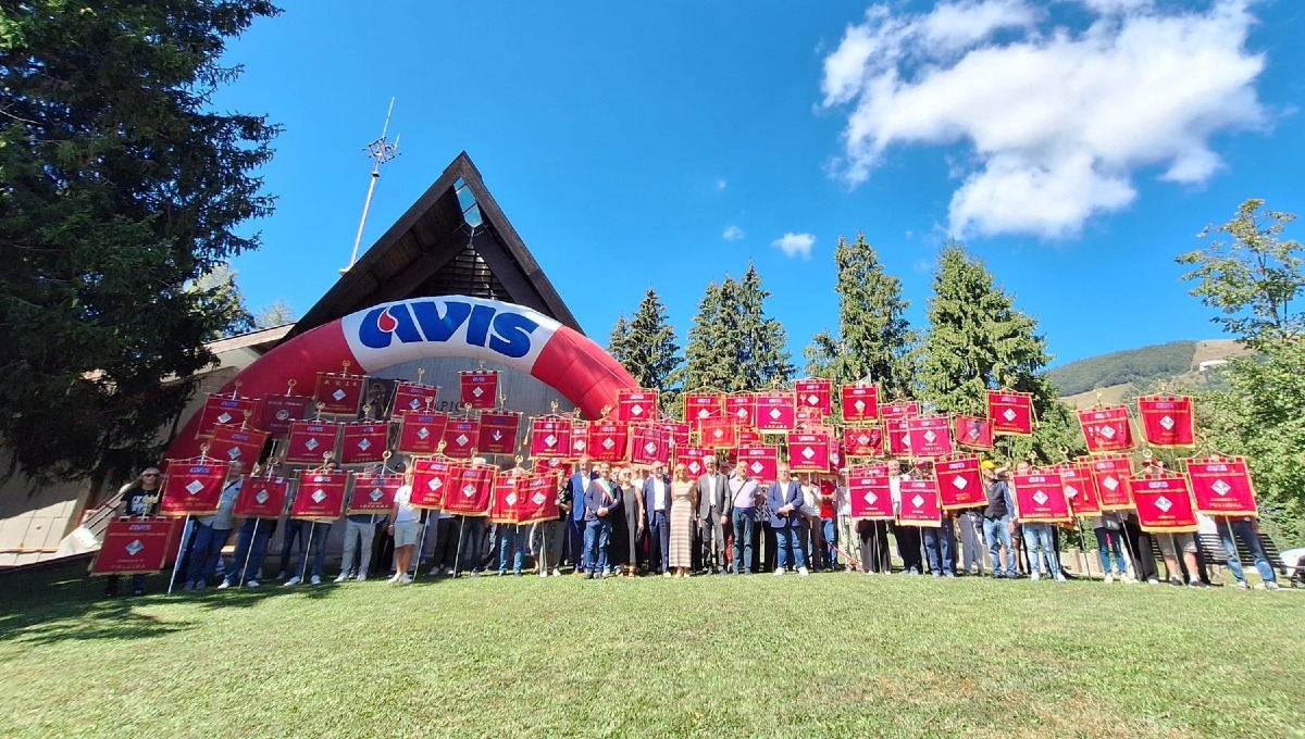 Avis Treviso: cala il sangue intero, cresce il plasma nei primi 7 mesi del 2026 - 