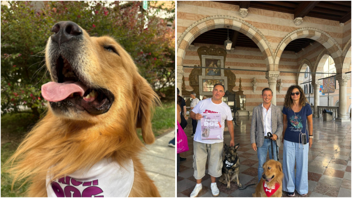 A Parco Moretti una mattinata per i cani: a Friuli Doc arriva il nuovo spazio Friuli Dog - 