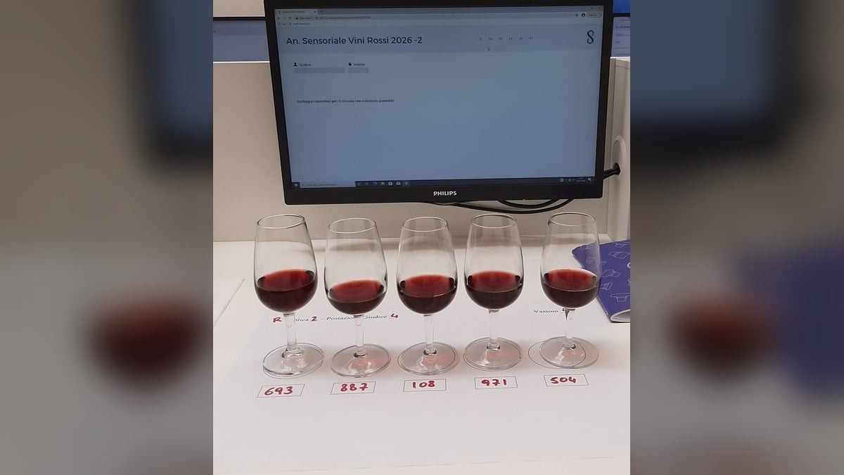 A Udine tre anni di test sul vino in bottiglia: segnali incoraggianti per le chiusure in vetro - 