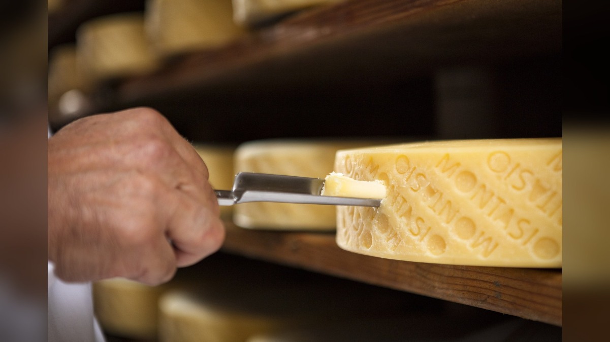 Friuli DOC 2026, due degustazioni gratuite per scoprire il Montasio DOP a Udine - 