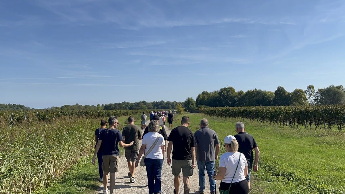 Casarsa, la Maratoluna rilancia la domenica di San Giovanni: camminata accessibile e attività per tutte le età - 