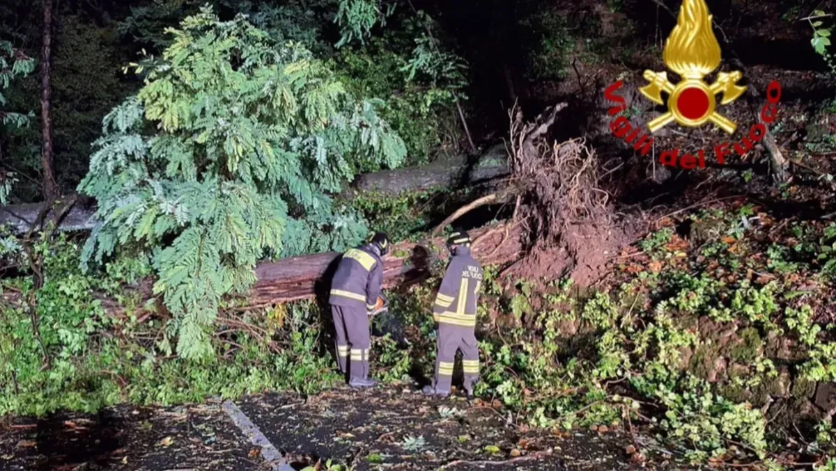 Temporali e piogge forti sul FVG: frana a Pulfero, alberi caduti e raffiche a 70 km/h - 