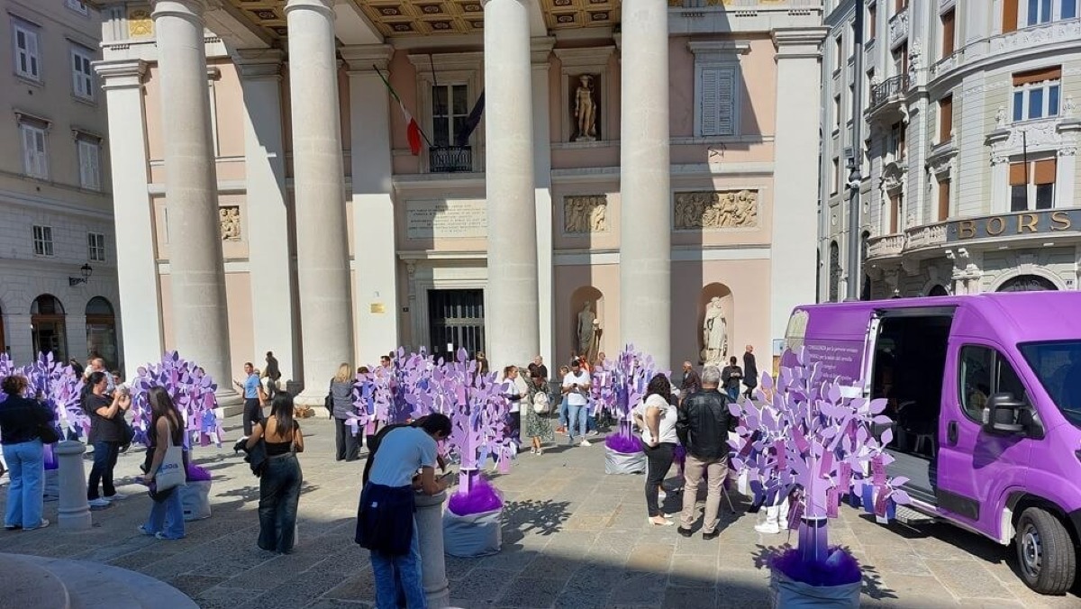 Trieste, la Foresta Viola torna in piazza della Borsa dal 12 al 14 settembre 2026 - 