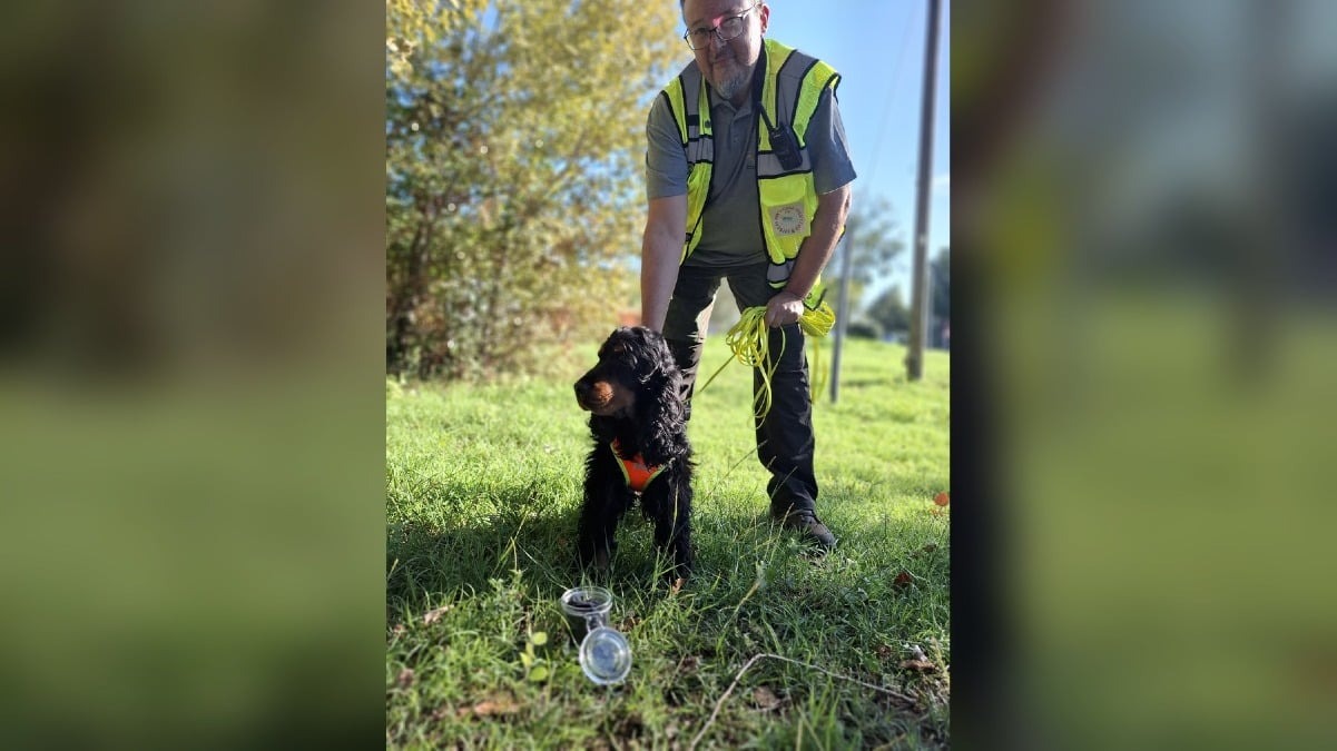 Grado scelta per il training K9: due giorni di mantrailing con squadre arrivate da più regioni - 
