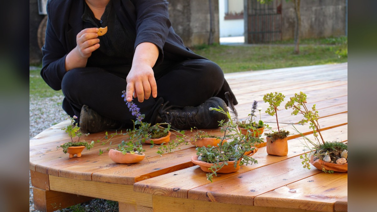 Villalta di Fagagna, laboratorio gratuito sui semi e origami il 15 settembre a Cjase di Catine - 