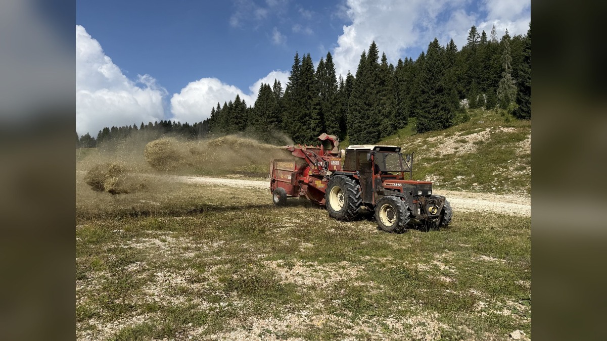 Asiago, a Melette 2000 parte il recupero della pista da sci con fieno e semi locali - 