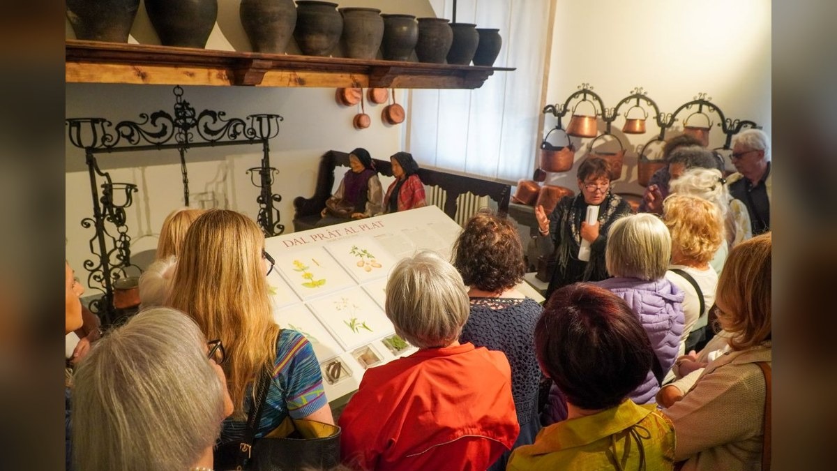 Museo Carnico di Tolmezzo, due visite guidate a settembre per la mostra “Storie di erbe” - 