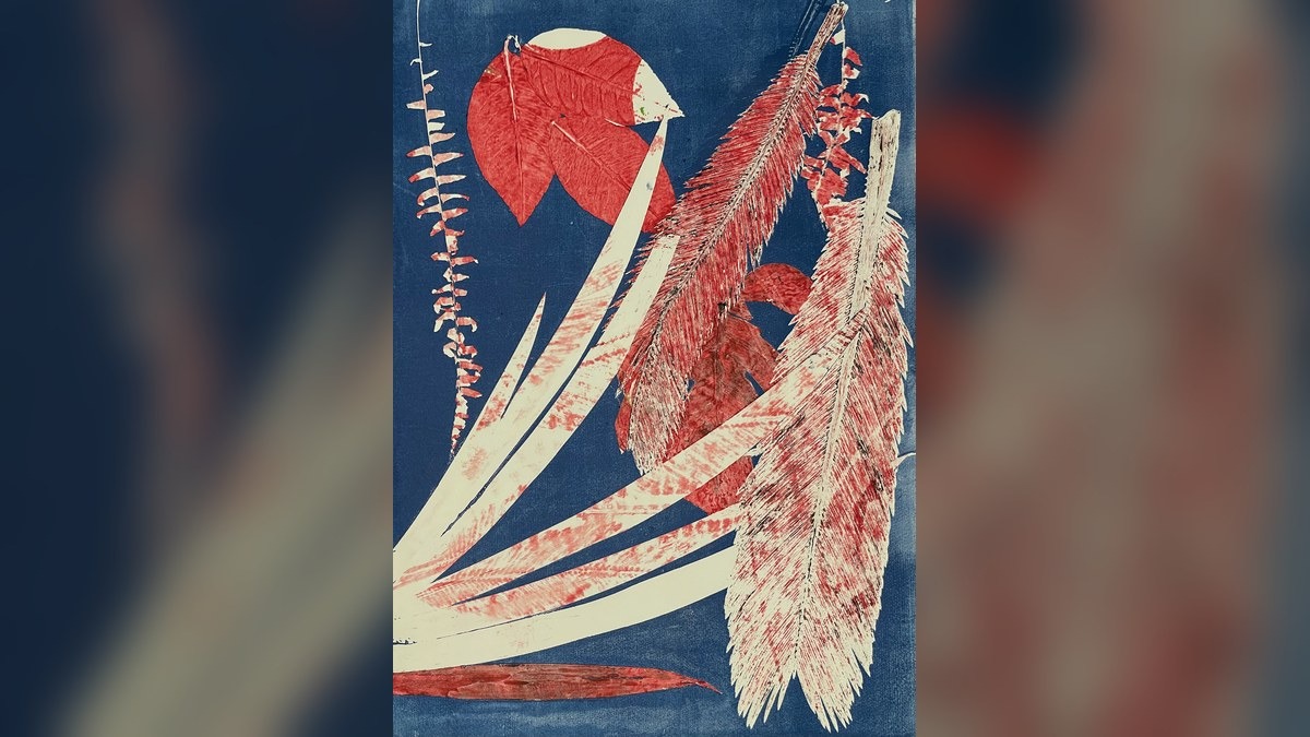 Pordenone, ai Mercati Culturali la mostra di Stefano Mancuso con 25 monotipi - 