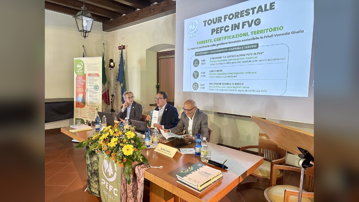 Foresta Tour in Friuli Venezia Giulia, boschi certificati e servizi ecosistemici - 
