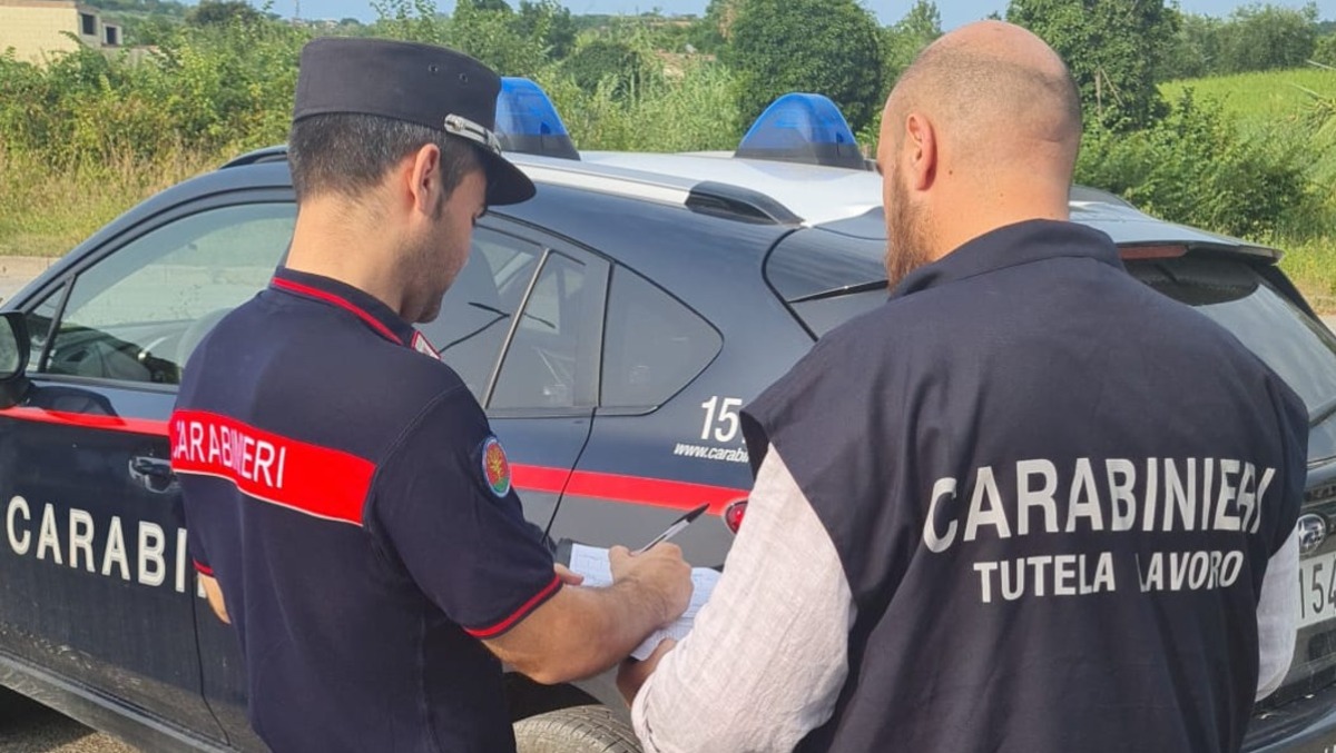 Aziende agricole in Friuli nei guai: sicurezza carente e un lavoratore senza permesso - 