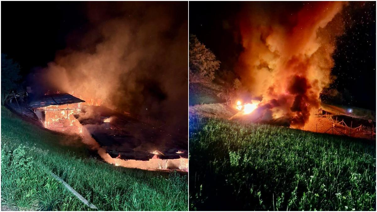 Fiamme altissime nella notte, brucia un fienile: sette bovini all’interno | FOTO - 