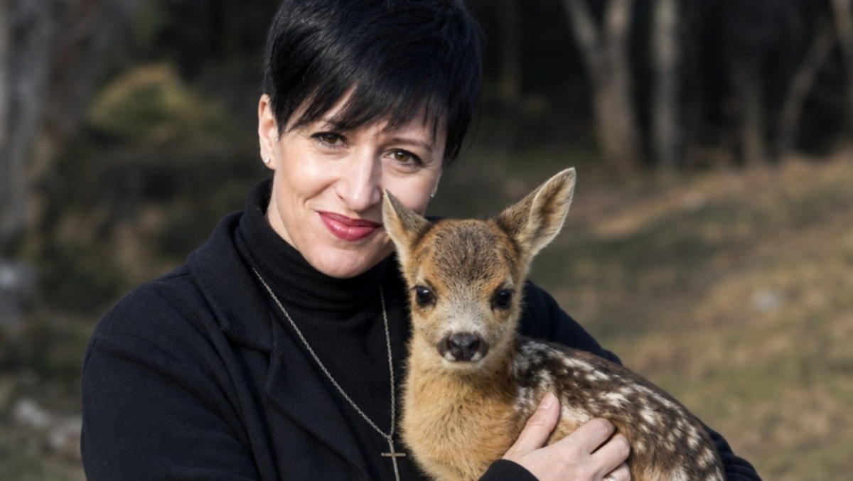 Bracconaggio a Caneva, il plauso degli animalisti alla Forestale: l’appello ai cittadini - 