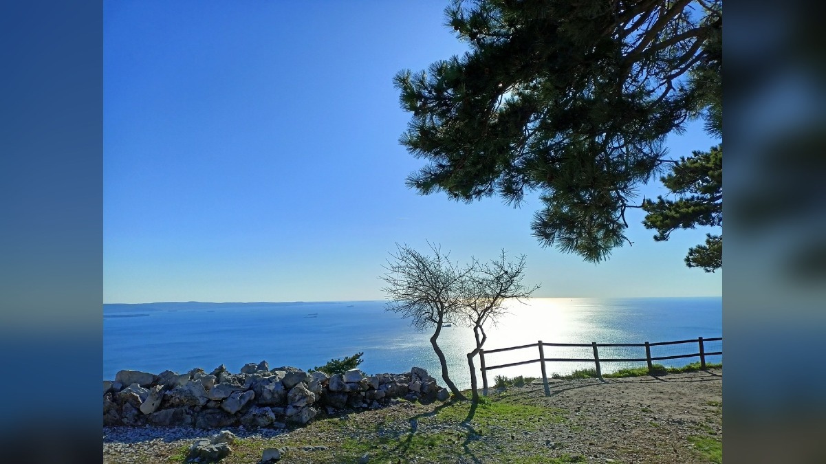 Impollinatori, passeggiata gratuita sulla Strada Napoleonica a Trieste - 