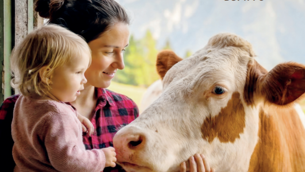  Montasio DOP: nuova campagna per raccontare il formaggio che parla del territorio  - 