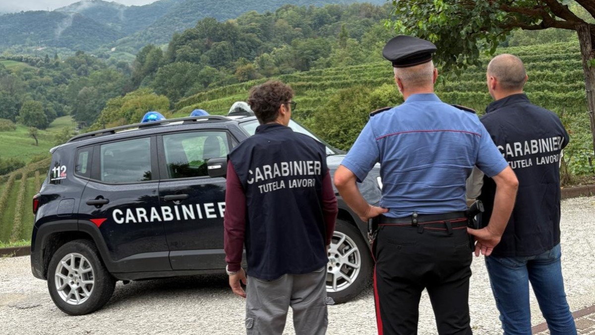 Blitz nei vigneti: lavoratori senza contratto e manodopera illecita, scattano le sanzioni - 