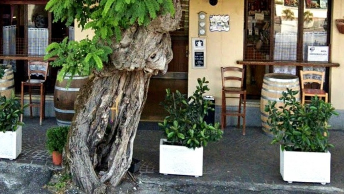 Festa a Tarcento all’Osteria al Collalto: vinti oltre 24mila euro - 
