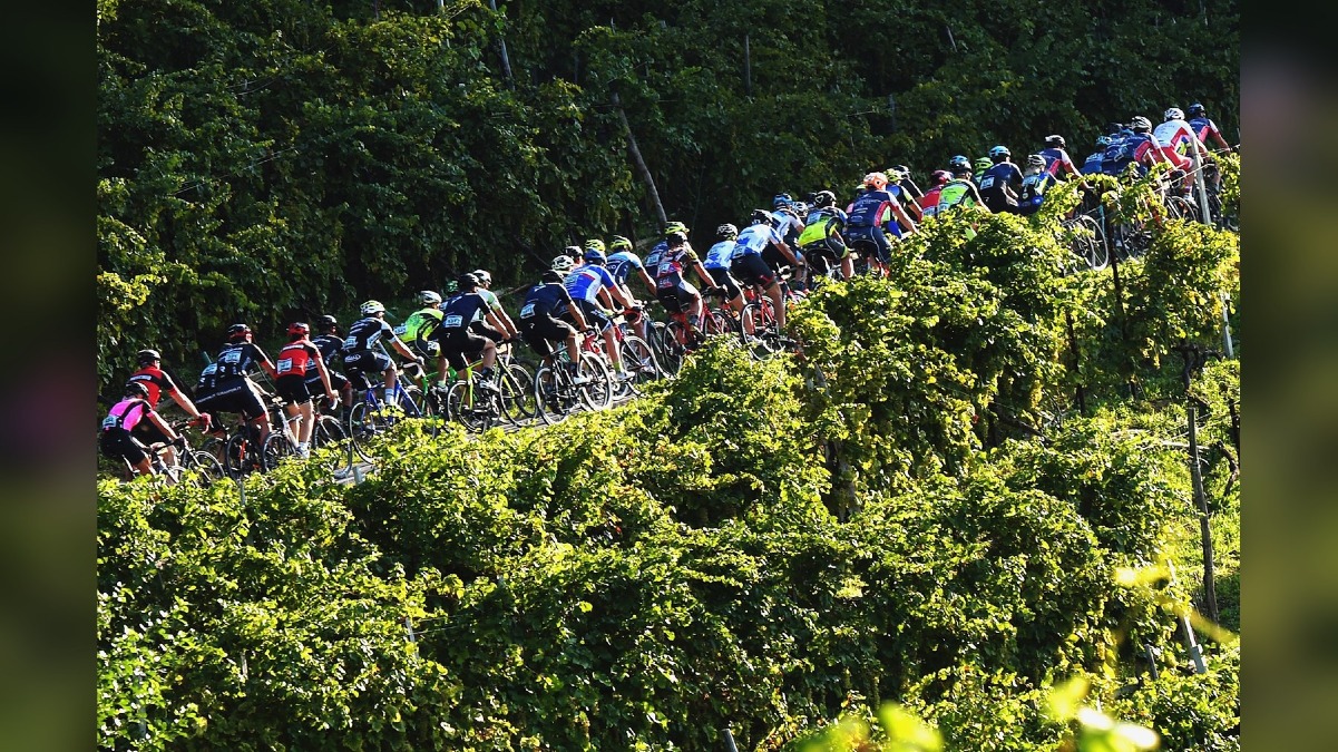 Cicloturismo, domenica la Prosecco Cycling richiama 2.500 partecipanti sulle colline della DOCG - 