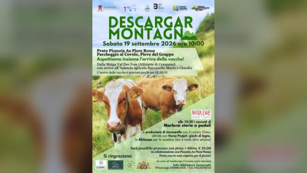 Pieve del Grappa, torna la transumanza delle vacche: sabato 19 settembre “Descargar Montagna”