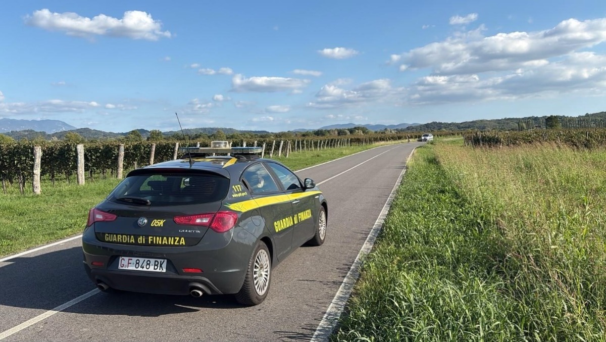 Braccianti irregolari tra Goriziano e Udinese, la Finanza contesta evasione e sfruttamento nei vigneti - 