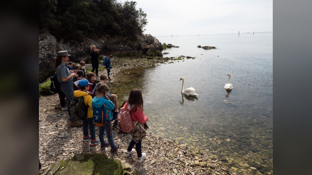 Scuole del Friuli Venezia Giulia, tornano i percorsi ambientali di ScopriNatura per il 2026/2027 - 