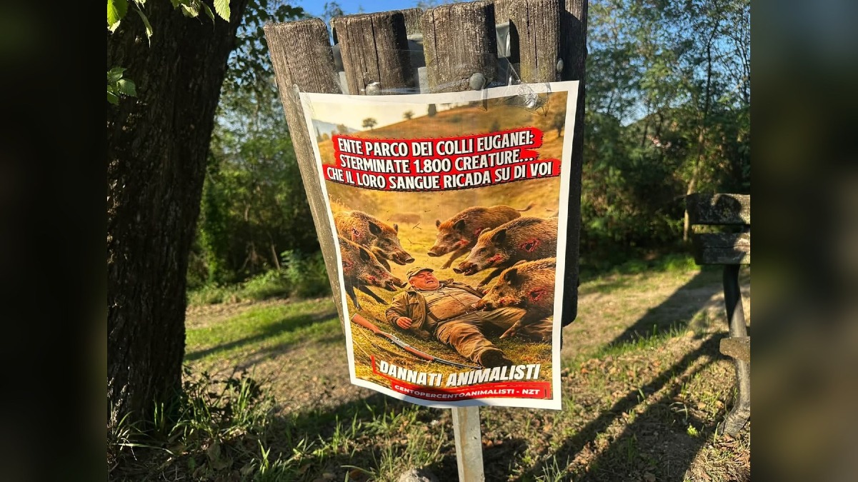 Colli Euganei, protesta animalista sul Venda: manifesti contro il piano sui cinghiali - 