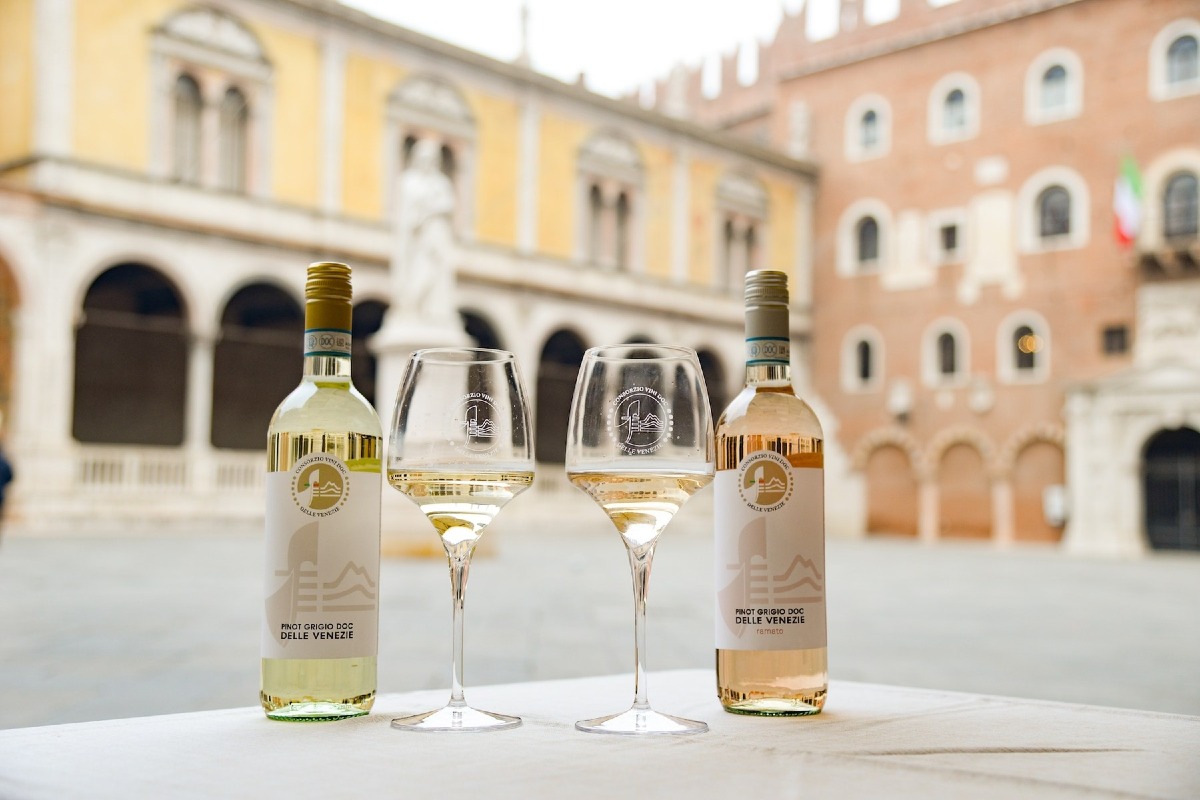 DOC Delle Venezie, nasce il premio di laurea Giuseppe Catarin per le tesi sul vino