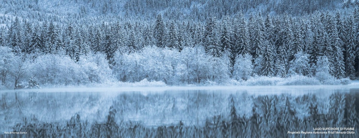 Foresta Tour arriva in Friuli Venezia Giulia: tappe tra Malborghetto-Valbruna, Fusine e