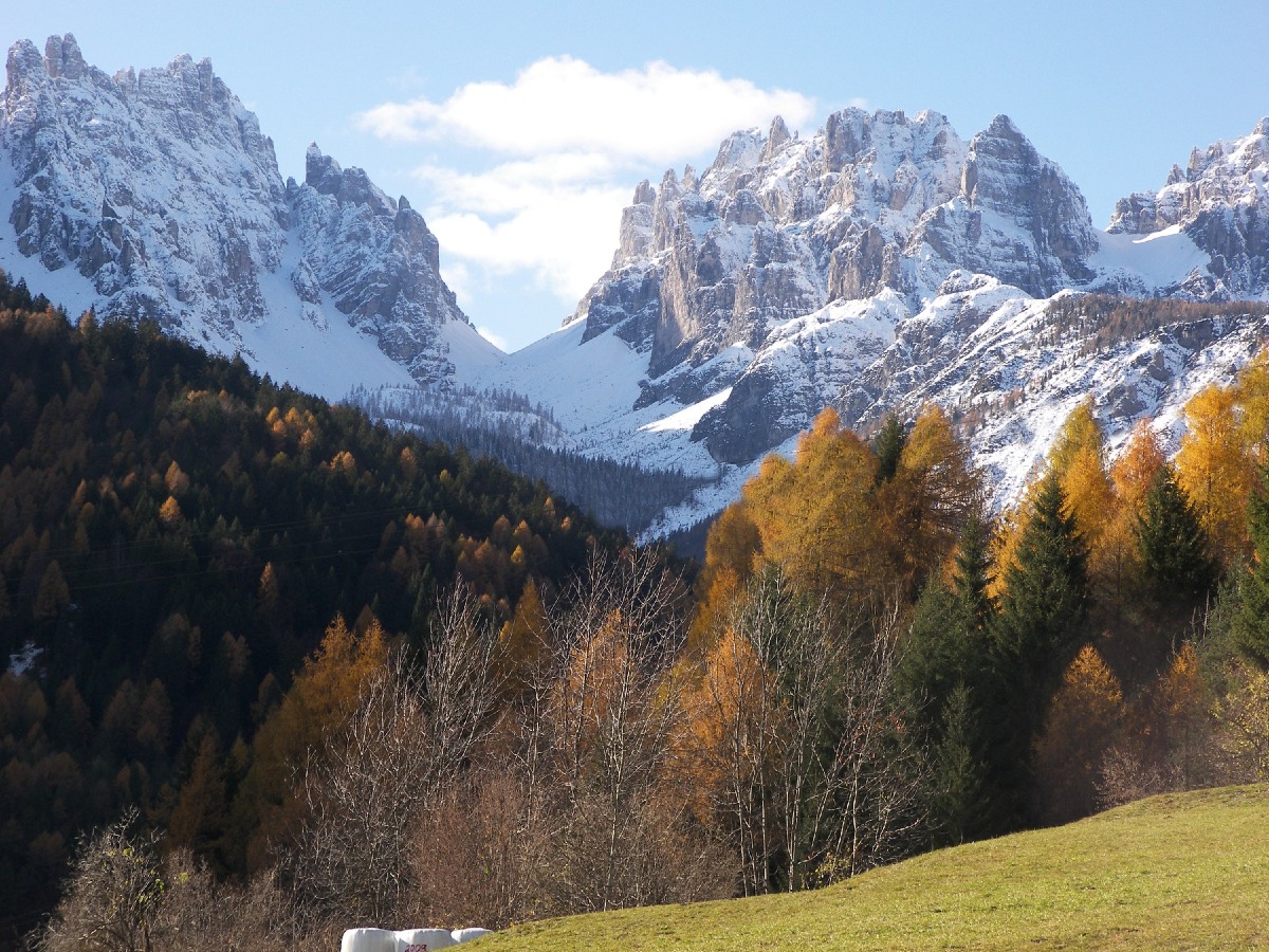 Forni di Sopra, due giorni sulla montagna che cambia con la Dolomiti Mountain School
