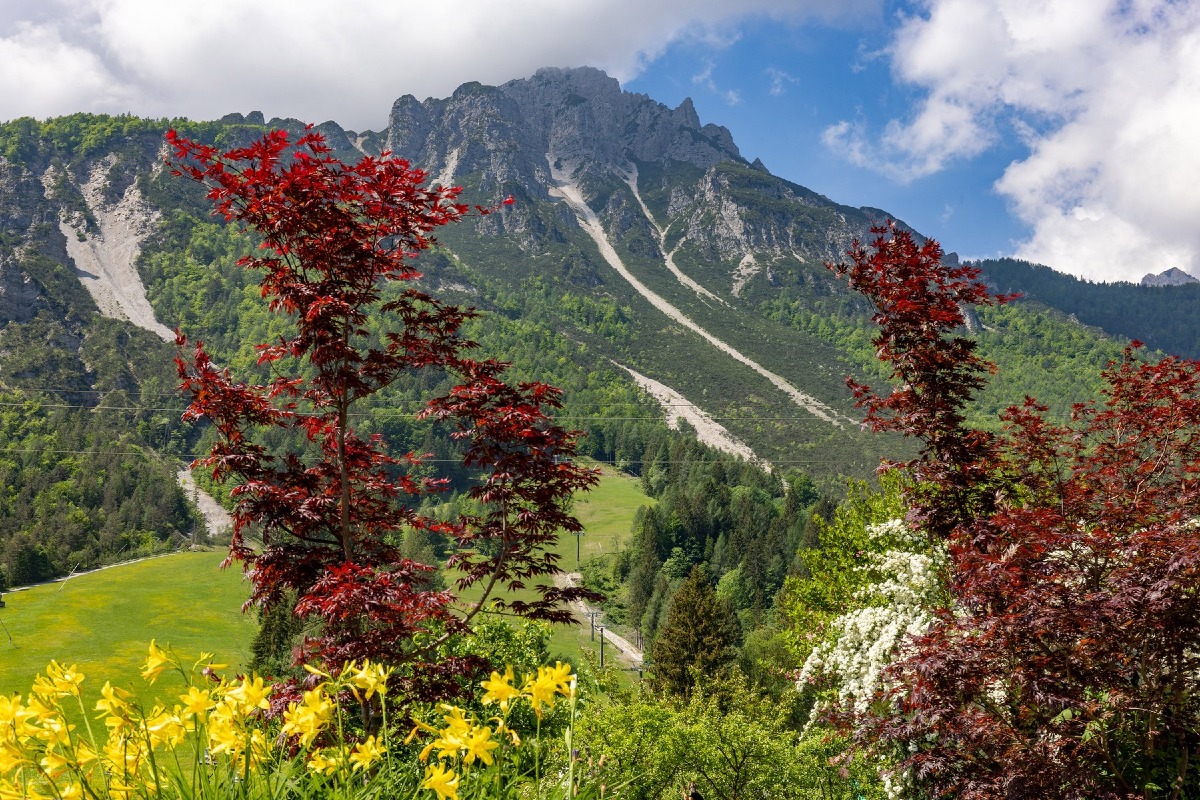 Forni di Sopra, due giorni sulla montagna che cambia con la Dolomiti Mountain School