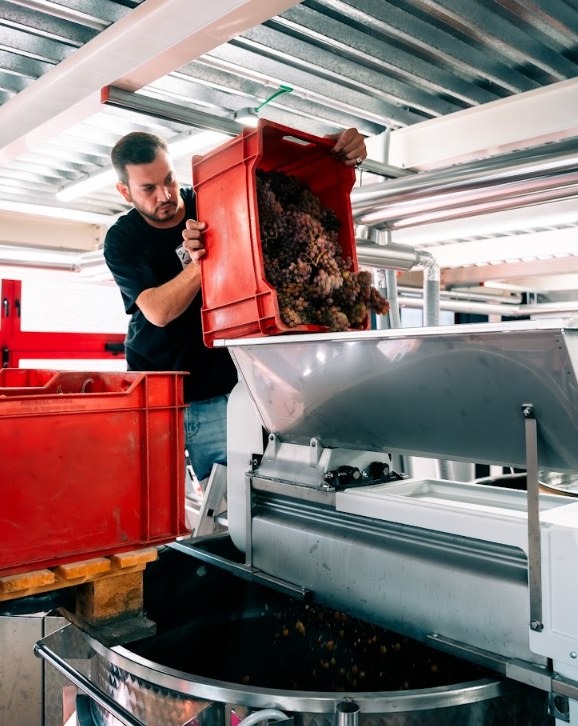 Treviso, a Cantina Futurista la vendemmia si osserva dal ristorante per tutto settembre