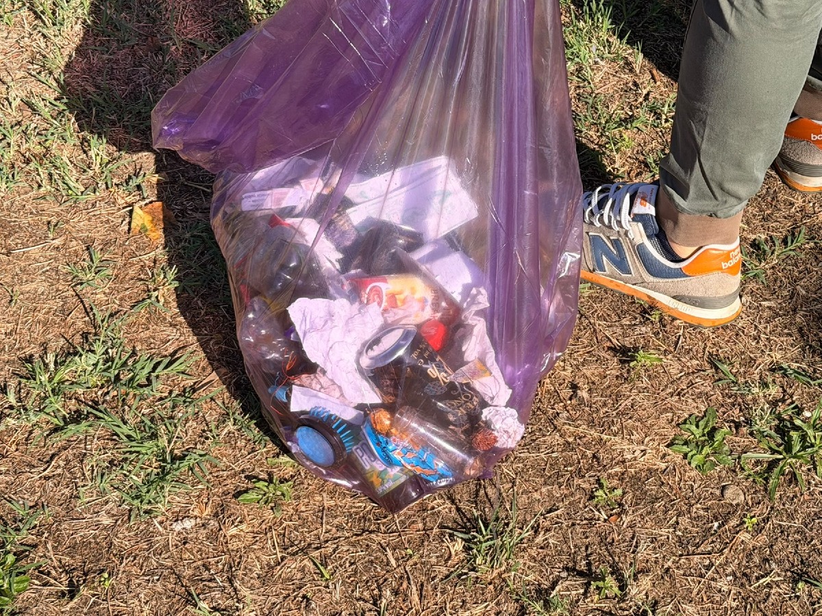 Padova, pulizia tra via Rubaltelli e via Jacopo D’Avanzo: raccolti oltre 50 kg di rifiuti