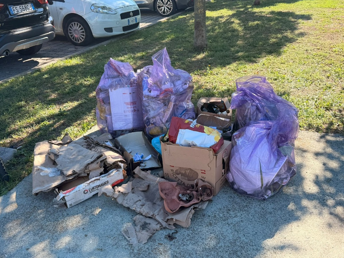 Padova, pulizia tra via Rubaltelli e via Jacopo D’Avanzo: raccolti oltre 50 kg di rifiuti