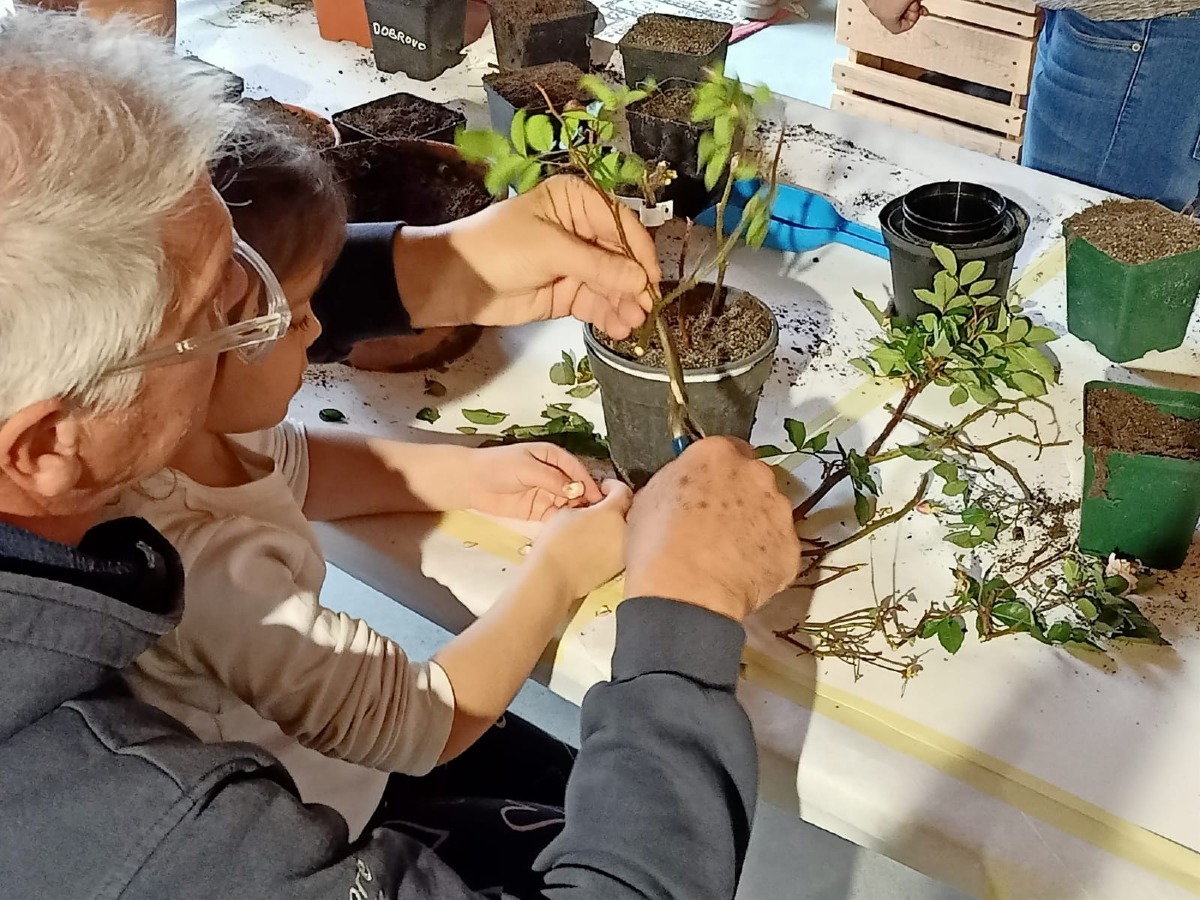 Villalta di Fagagna, laboratorio gratuito sui semi e origami il 15 settembre a Cjase di