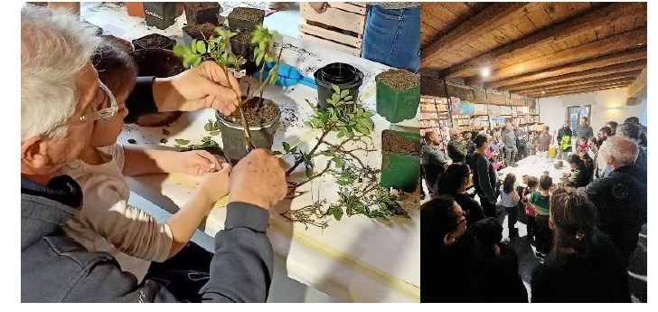 Villalta di Fagagna, laboratorio gratuito sui semi e origami il 15 settembre a Cjase di