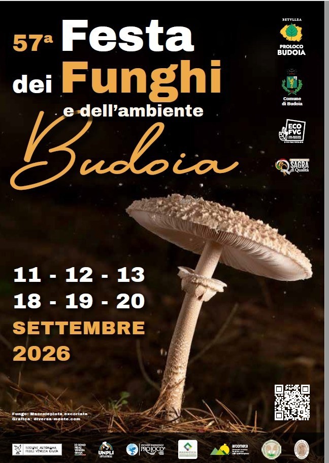 Budoia, dal 18 al 20 settembre torna la Festa dei Funghi con marcia, mostra e convegno