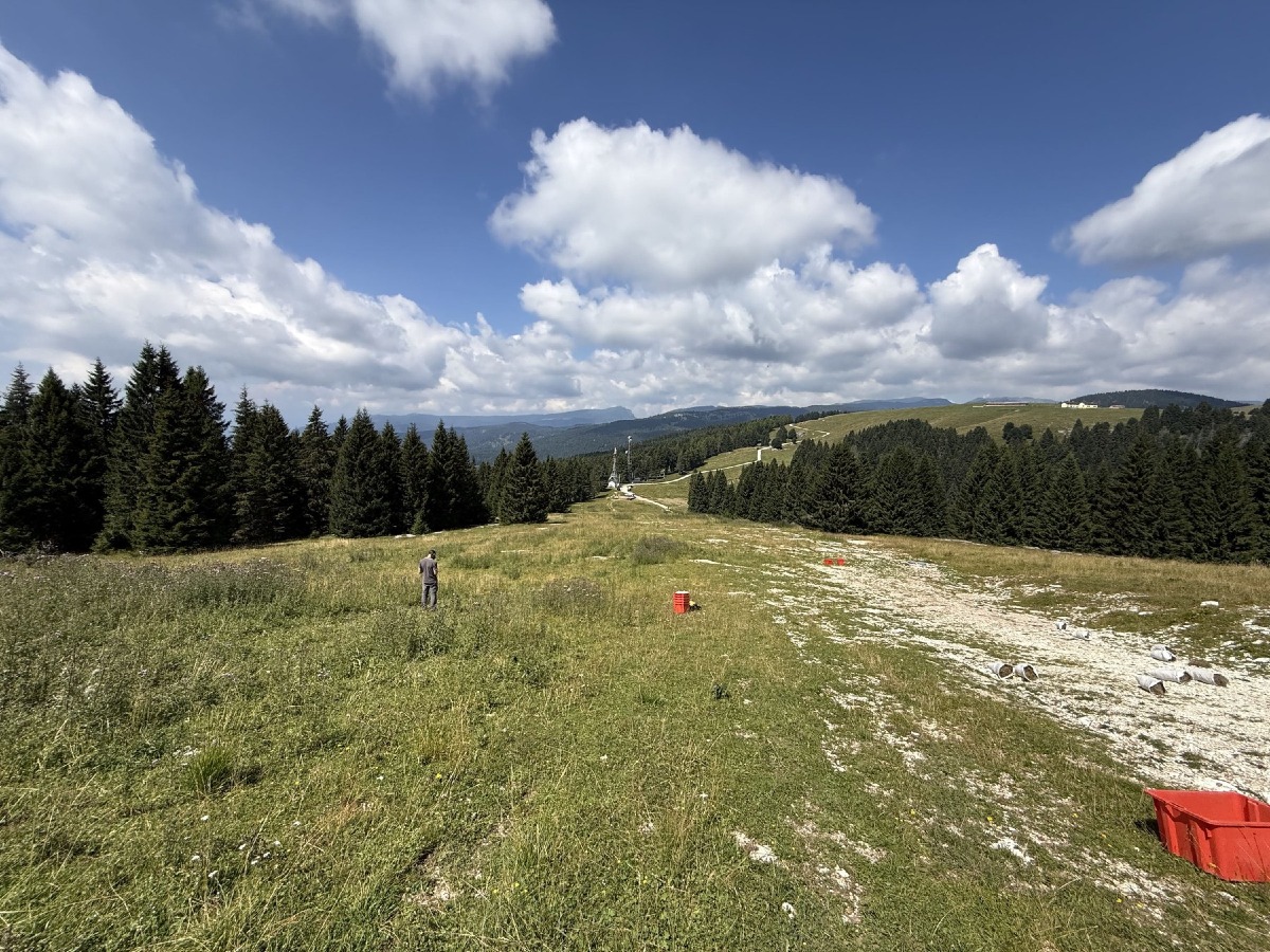 Asiago, a Melette 2000 parte il recupero della pista da sci con fieno e semi locali